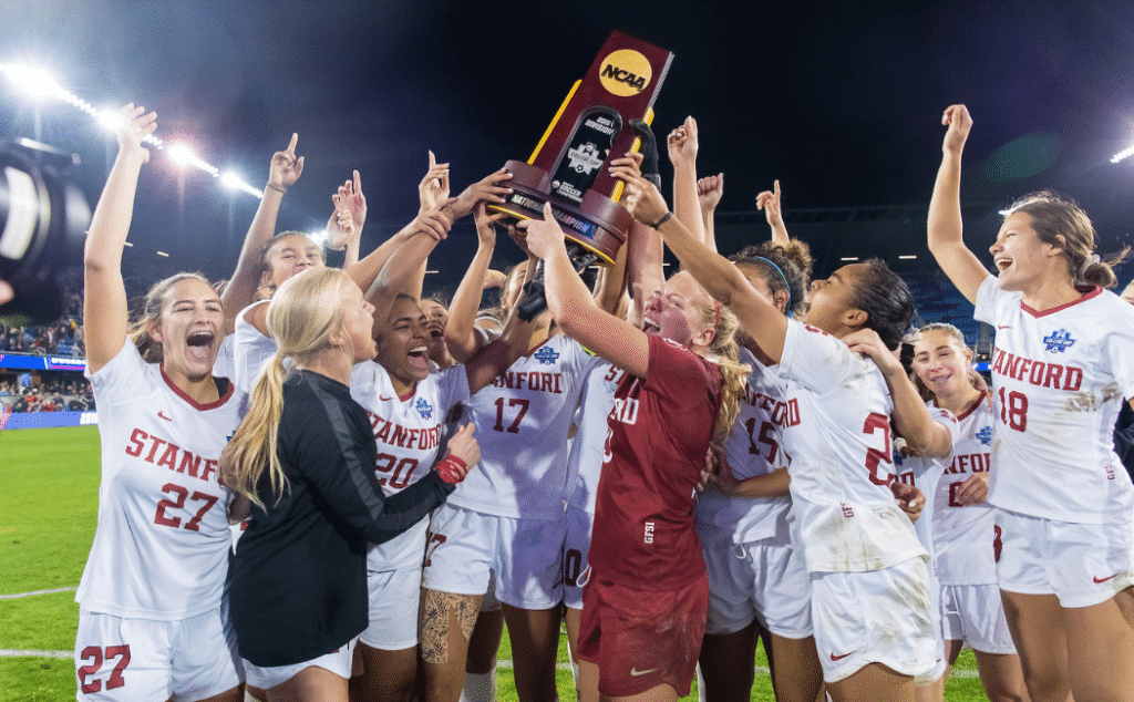 但实际上 但实际上